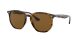 Ray-Ban RB 4306 710/83