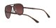 Ray-Ban RB 4320/CH 710/6B Férfi, Női napszemüveg