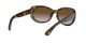 Ray-Ban RB 4325 710/T5