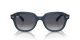 Ray-Ban Erik RB 0RB4398 667678
