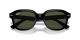 Ray-Ban Erik RB 0RB4398 901/31