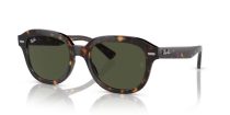 Ray-Ban Erik RB 0RB4398 902/31