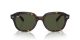 Ray-Ban Erik RB 0RB4398 902/31