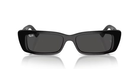 Ray-Ban Teru RB 4425 667787