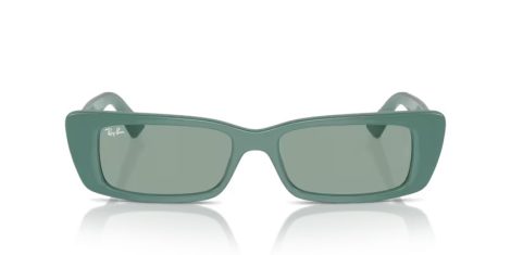 Ray-Ban Teru RB 4425 676282