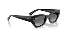 Ray-Ban Zena RB 4430 667711