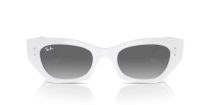 Ray-Ban Zena RB 4430 675911