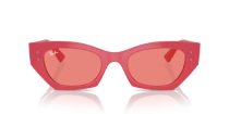 Ray-Ban Zena RB 4430 676084