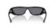 Ray-Ban Xan RB 4431 66776V