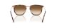 Ray-Ban RB 4451 680451 Ray-Ban RB 4451 680451
