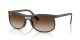 Ray-Ban RB 4452 612413