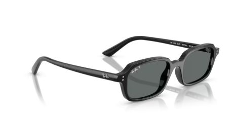 Ray-Ban Zuri RB 4455 667781