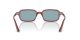 Ray-Ban Zuri RB 4455 680980