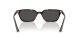 Ray-Ban Zaya RB 4456 135987