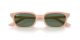 Ray-Ban Zaya RB 4456 681182