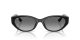 Ray-Ban RB 4457D 667711