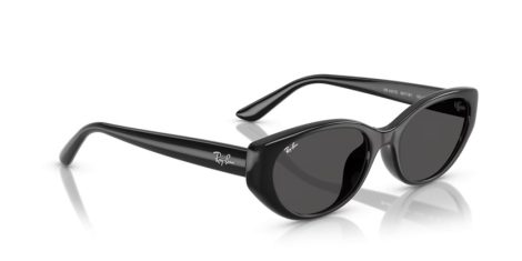 Ray-Ban RB 4457D 667787