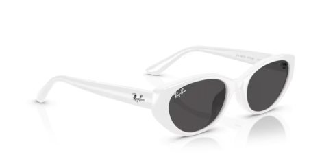 Ray-Ban RB 4457D 677287
