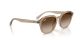 Ray-Ban RB 4459D 616613