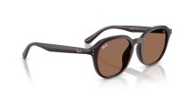 Ray-Ban RB 4459D 623173