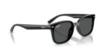 Ray-Ban RB 4461D 601/87