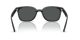 Ray-Ban RB 4461D 601/87