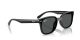 Ray-Ban RB 4461D 601/87