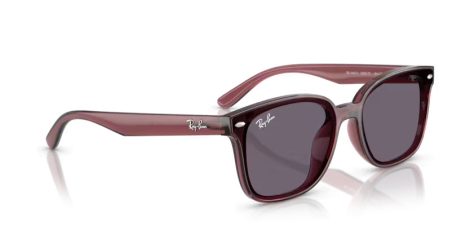 Ray-Ban RB 4461D 659373