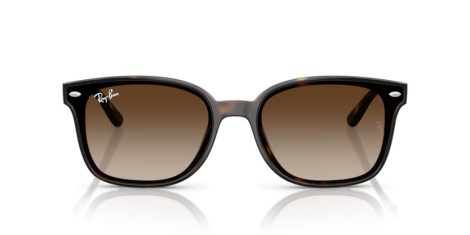 Ray-Ban RB 4461D 710/13