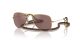 Ray-Ban Junior Aviator RJ 9506S 223/6G