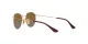 Ray-Ban Junior Round RJ 9547S 223/T5