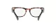 Ray-Ban Laramie RX 2201V 8118