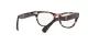 Ray-Ban Laramie RX 2201V 8118