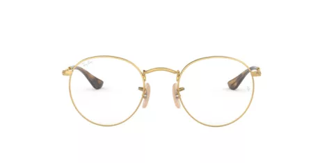 Ray-Ban Round Metal RX 3447V 2500
