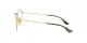 Ray-Ban Round Metal RX 3447V 2945 Ray-Ban Round Metal RX 3447V 2945