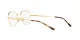 Ray-Ban RX 3682V 2500 Ray-Ban RX 3682V 2500