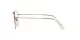 Ray-Ban Frank RX 3857V 3094