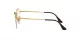 Ray-Ban Round Gaze RX 3947V 2500 Ray-Ban Round Gaze RX 3947V 2500