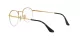 Ray-Ban Round Gaze RX 3947V 2500 Ray-Ban Round Gaze RX 3947V 2500