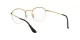 Ray-Ban Round Gaze RX 3947V 2500 Ray-Ban Round Gaze RX 3947V 2500