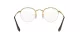 Ray-Ban Round Gaze RX 3947V 2500 Ray-Ban Round Gaze RX 3947V 2500