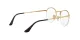 Ray-Ban Round Gaze RX 3947V 2500 Ray-Ban Round Gaze RX 3947V 2500