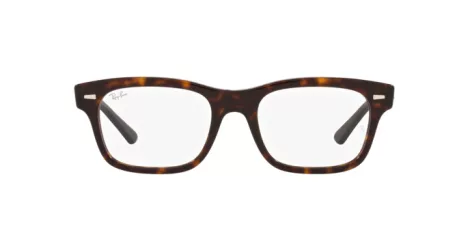 Ray-Ban Mr Burbank RX 5383 2012 Ray-Ban Mr Burbank RX 5383 2012