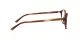 Ray-Ban Leonard RX 5393 2144