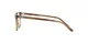 Ray-Ban Elliot RX 5397 8255