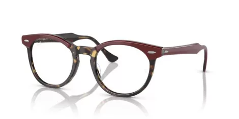 Ray-Ban Eagleeye RX 0RX5598 8250