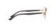 Ray-Ban RX 6487 2905