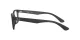 Ray-Ban RX 7025 2077