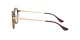 Ray-Ban RX 7178D 2012 Ray-Ban RX 7178D 2012