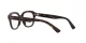 Ray-Ban Erik RX 7215 2012